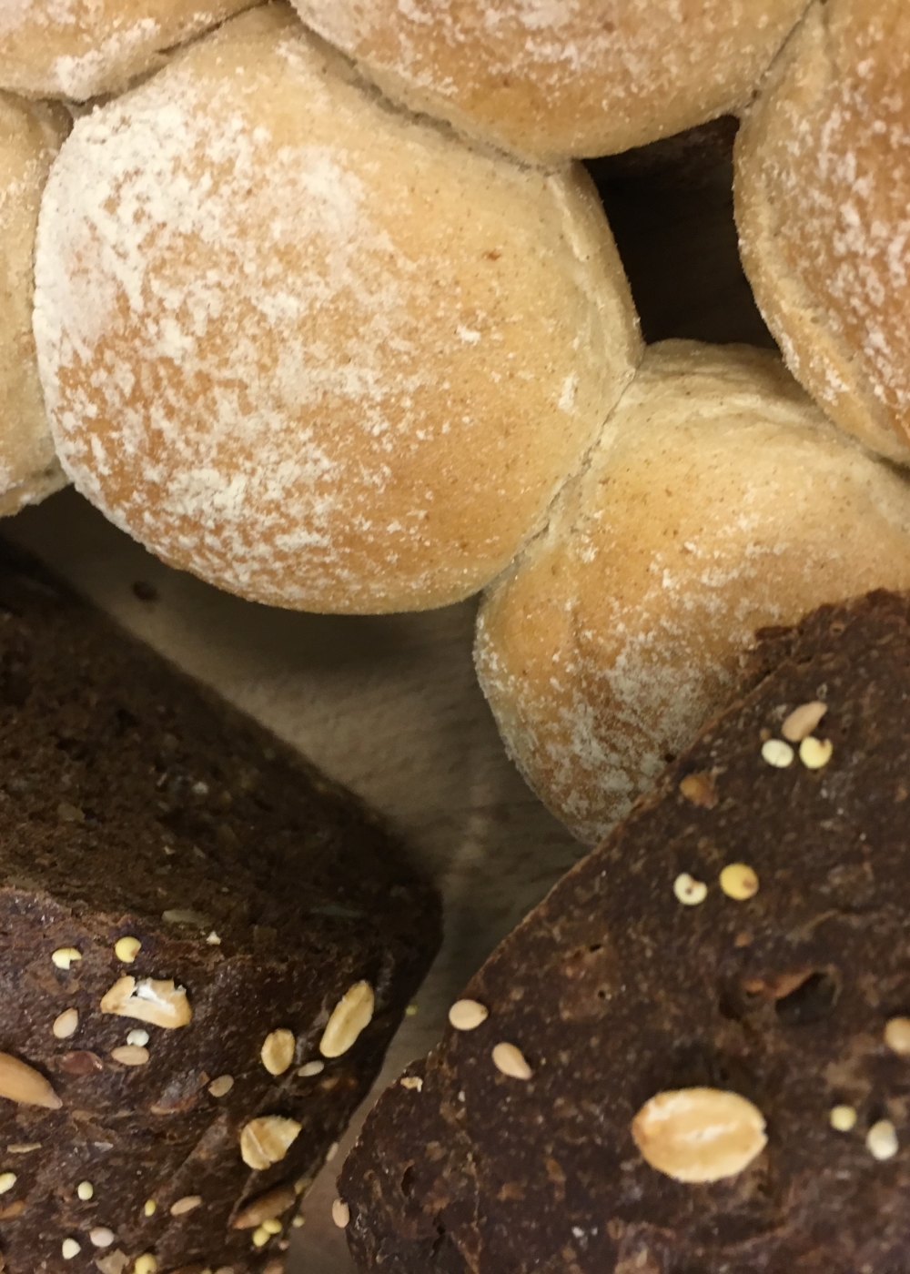 brood